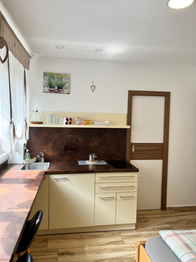 Apartmany Sumavska Český Krumlov Eksteriør billede